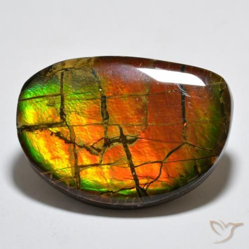 17.11 ct Multicolor Ammolite Stone, Natural Ammolite in Fancy Cabochon Shape for Sale