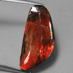 9.14 ct Multicolor Ammolite Stone, Natural Ammolite in Fancy Cabochon Shape for Sale
