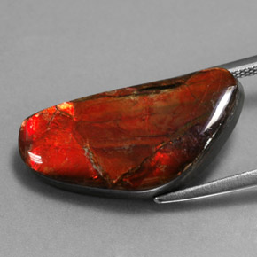 Ammolite Gemstone in 21.4 x 10.3 mm Size for Sale, Ammolite Stone in Multicolor Color
