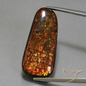 21.40ct Natural Multicolor Ammolite, Fancy, Opaque