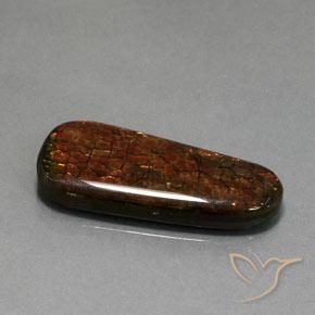 21.40 ct Multicolor Ammolite Stone, Natural Ammolite in Fancy Cabochon Shape for Sale