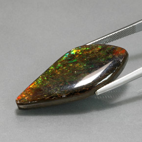 Ammolite Gemstone in 34.2 x 15.2 mm Size for Sale, Ammolite Stone in Multicolor Color