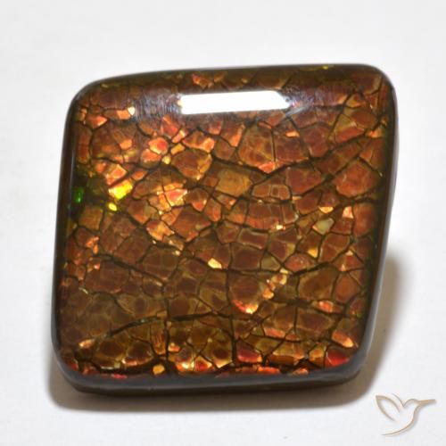 20.34 ct Fancy Ammolite, 19.6 x 19.4 mm From Canada, Photo A