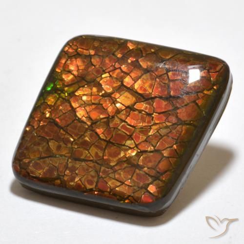 20.34 ct Multicolor Ammolite Stone, Natural Ammolite in Rhomb Cabochon Shape for Sale