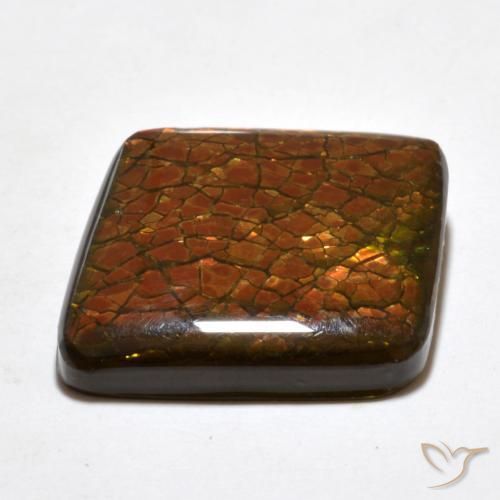 Ammolite Gemstone in 19.6 x 19.4 mm Size for Sale, Ammolite Stone in Multicolor Color