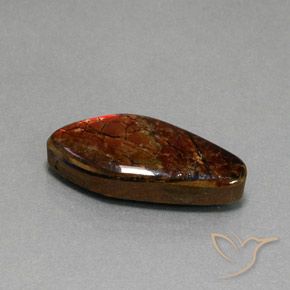 11.37 ct Multicolor Ammolite Stone, Natural Ammolite in Fancy Cabochon Shape for Sale