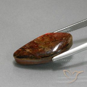 Ammolite Gemstone in 24 x 11.2 mm Size for Sale, Ammolite Stone in Multicolor Color