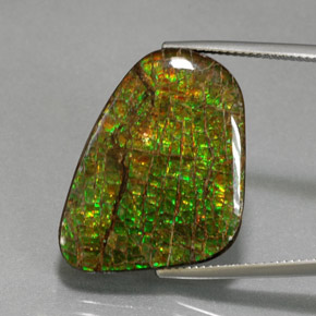 Multicolor Ammolite Gem - 21.3ct Fancy Cabochon (ID: 375967)