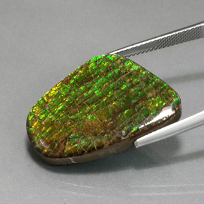 Ammolite Gemstone in 26.9 x 19.4 mm Size for Sale, Ammolite Stone in Multicolor Color