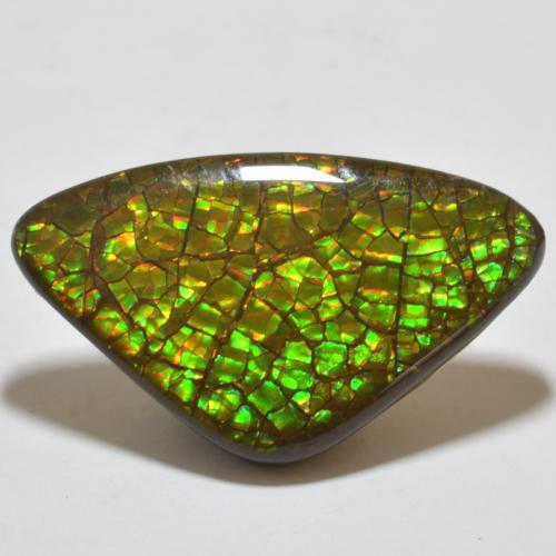 17.80 ct Multicolor Ammolite Stone, Natural Ammolite in Trillion Cabochon Shape for Sale