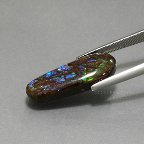 Ammolite Gemstone in 22.4 x 9.3 mm Size for Sale, Ammolite Stone in Multicolor Color