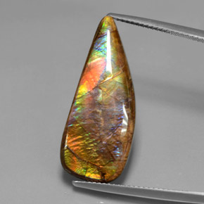 Multicolor Ammolite Gem - 12.8ct Fancy Cabochon (ID: 377436)