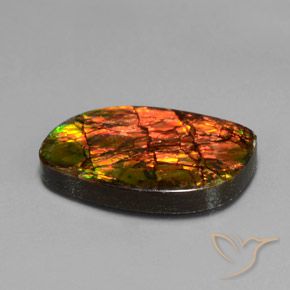 13.27 ct Multicolor Ammolite Stone, Natural Ammolite in Fancy Cabochon Shape for Sale