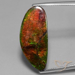 12.1 ct Fancy Ammolite, 26.7 x 11.6 mm From Canada, Photo A