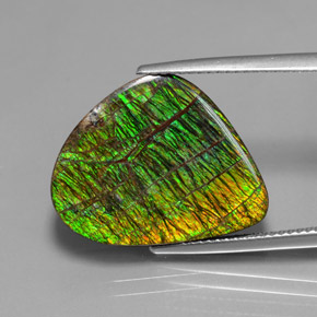 12.97 ct Multicolor Ammolite Gemstone, Ammolite Gem in Fancy Cabochon Shape for Sale.