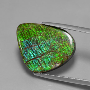Ammolite Gemstone in 20.7 x 16.2 mm Size for Sale, Ammolite Stone in Multicolor Color