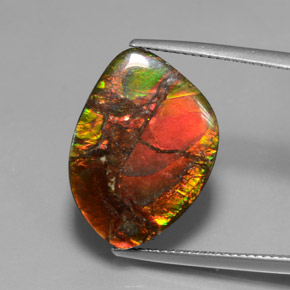 13.21 ct Multicolor Ammolite Gemstone, Ammolite Gem in Fancy Cabochon Shape for Sale.