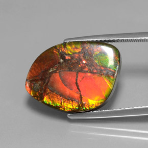 13.21 ct Multicolor Ammolite Stone, Natural Ammolite in Fancy Cabochon Shape for Sale