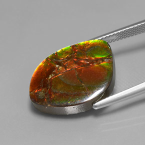Ammolite Gemstone in 20.5 x 14.5 mm Size for Sale, Ammolite Stone in Multicolor Color