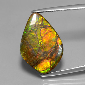 10.41 ct Multicolor Ammolite Gemstone, Ammolite Gem in Fancy Cabochon Shape for Sale.