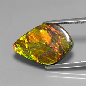 10.41 ct Multicolor Ammolite Stone, Natural Ammolite in Fancy Cabochon Shape for Sale
