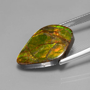Ammolite Gemstone in 21.4 x 14.9 mm Size for Sale, Ammolite Stone in Multicolor Color