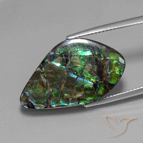 15.28 ct Multicolor Ammolite Stone, Natural Ammolite in Fancy Cabochon Shape for Sale