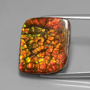 Multicolor Ammolite Gem - 14.9ct Fancy Cabochon (ID: 377444)