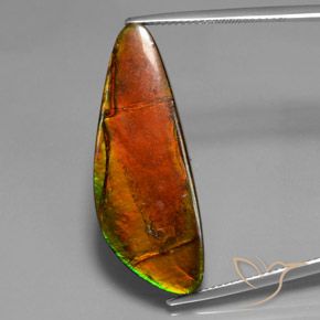 18.60ct Natural Multicolor Ammolite, Fancy, Opaque