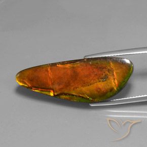 18.60 ct Multicolor Ammolite Stone, Natural Ammolite in Fancy Cabochon Shape for Sale