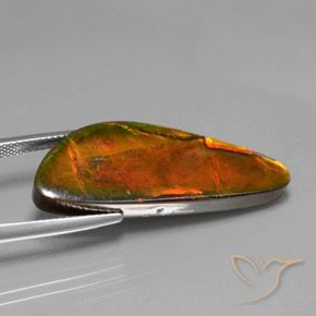 Ammolite Gemstone in 34.4 x 12.7 mm Size for Sale, Ammolite Stone in Multicolor Color
