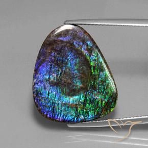 18.37ct Natural Multicolor Ammolite, Fancy, Opaque