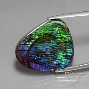 18.37 ct Multicolor Ammolite Stone, Natural Ammolite in Fancy Cabochon Shape for Sale