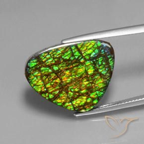 Ammolite Multicolore Trillion 19,08 ct du Canada, Dimension 22,1 x 17,2mm, Pierre gemme naturelle assemblé, pureté Opaque , 1 pièce d'ammolite trillion cabochon, dureté de Mohs de 4 à 4, Photo A
