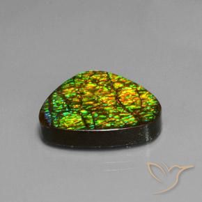 19.08 ct Multicolor Ammolite Stone, Natural Ammolite in Trillion Cabochon Shape for Sale