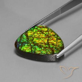 Ammolite Gemstone in 22.1 x 17.2 mm Size for Sale, Ammolite Stone in Multicolor Color