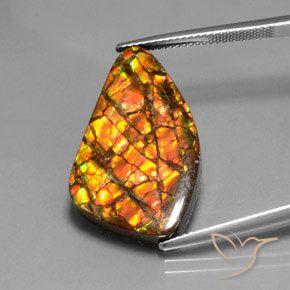 Multicolor Ammolite Gem - 17.3ct Fancy Cabochon (ID: 377463)