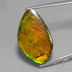 15.41 ct Fancy Ammolite, 27.1 x 16 mm From Canada, Photo A