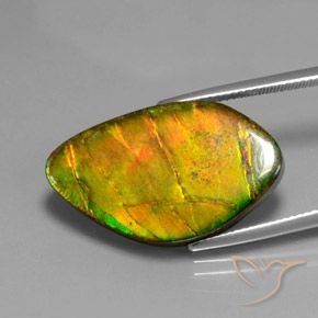 15.41 ct Multicolor Ammolite Stone, Natural Ammolite in Fancy Cabochon Shape for Sale