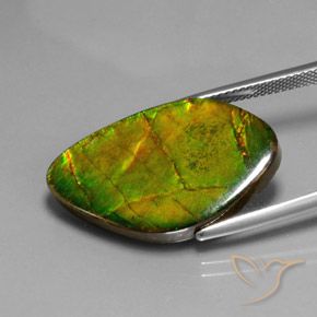 Ammolite Gemstone in 27.1 x 16 mm Size for Sale, Ammolite Stone in Multicolor Color