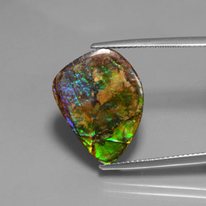 10.38 ct Multicolor Ammolite Stone, Natural Ammolite in Fancy Cabochon Shape for Sale
