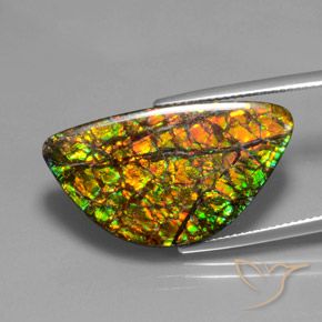 17.66 ct Multicolor Ammolite Stone, Natural Ammolite in Fancy Cabochon Shape for Sale
