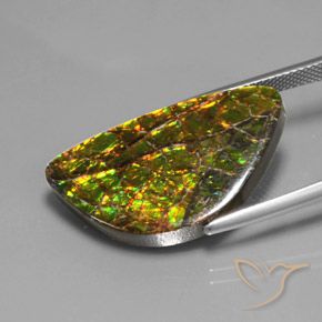 Ammolite Gemstone in 27.8 x 15.4 mm Size for Sale, Ammolite Stone in Multicolor Color
