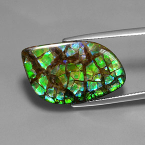 16.96 ct Multicolor Ammolite Stone, Natural Ammolite in Fancy Cabochon Shape for Sale