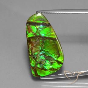 12.43 ct Fancy Ammolite, 25 x 13.5 mm From Canada, Photo A