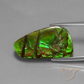 12.43 ct Multicolor Ammolite Stone, Natural Ammolite in Shark Fin Cabochon Shape for Sale