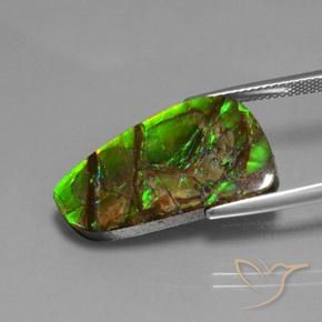 Ammolite Gemstone in 25 x 13.5 mm Size for Sale, Ammolite Stone in Multicolor Color