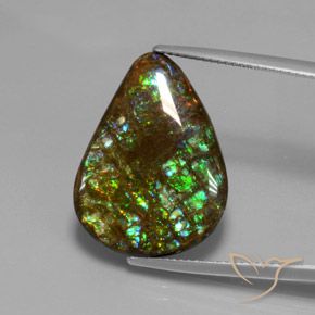 14.33 ct Pear Ammolite, 22.8 x 17 mm From Canada, Photo A