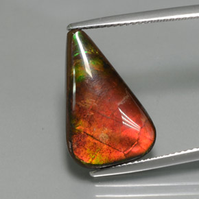 7.72 ct Multicolor Ammolite Gemstone, Ammolite Gem in Fancy Cabochon Shape for Sale.