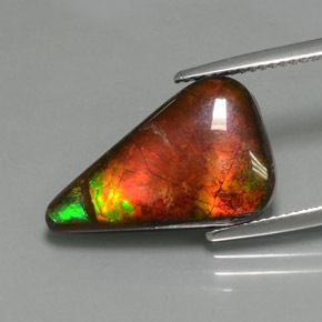 7.72 ct Multicolor Ammolite Stone, Natural Ammolite in Fancy Cabochon Shape for Sale
